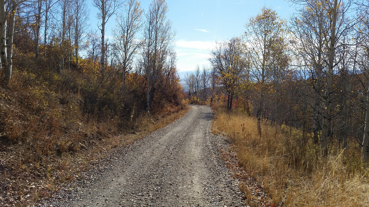 mountain, dirt road, nature-2138903.jpg